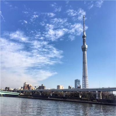 月神宝藏九游版下载
